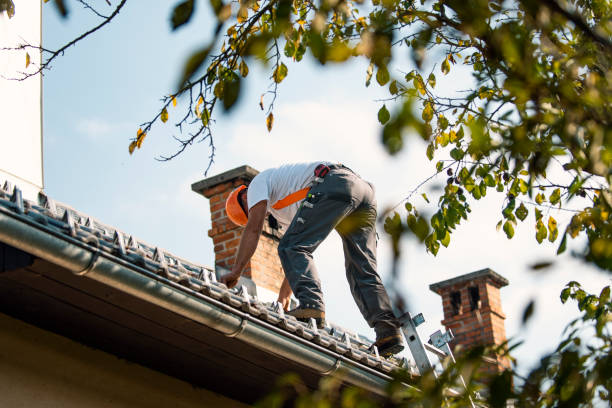 Best Residential Roofing Contractor  in Galesville, WI