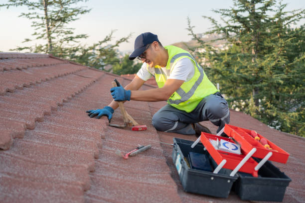 Best Roof Repair Specialists  in Galesville, WI