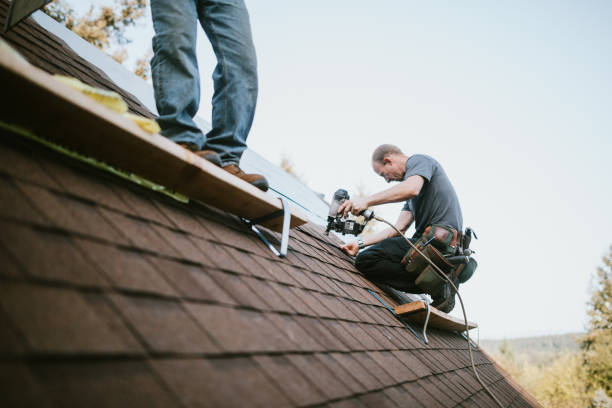 Best Roof Gutter Cleaning  in Galesville, WI
