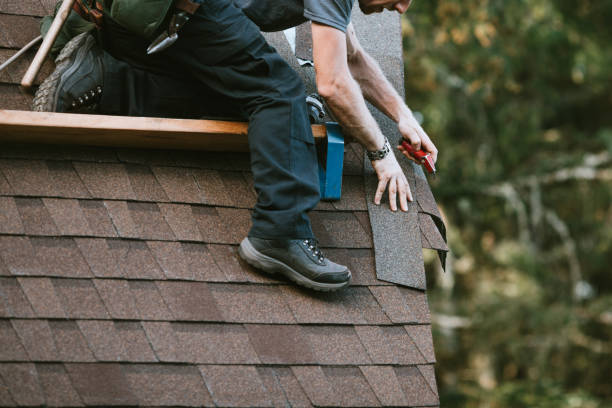 Best Roof Repair Specialists  in Galesville, WI